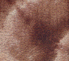 wpe47527.gif (294824 bytes)